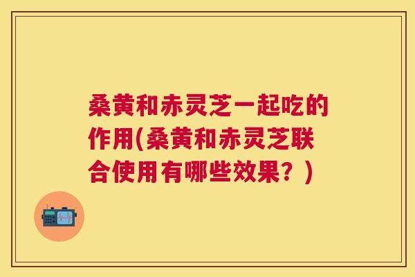桑黄和赤灵芝一起吃的作用(桑黄和赤灵芝联合使用有哪些效果?) 桑黄和赤灵芝一起吃的作用(桑黄和赤灵芝联合使用有哪些效果?)