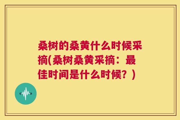 桑树的桑黄什么时候采摘(桑树桑黄采摘:佳时间是什么时候?) 桑树的桑黄什么时候采摘(桑树桑黄采摘:佳时间是什么时候?)
