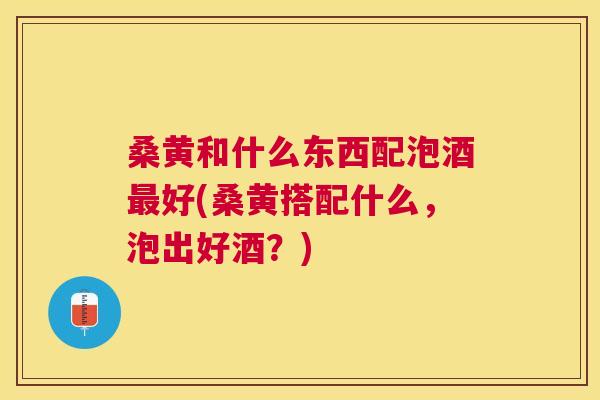 桑黄和什么东西配泡酒好(桑黄搭配什么,泡出好酒?) 桑黄和什么东西配泡酒好(桑黄搭配什么,泡出好酒?)