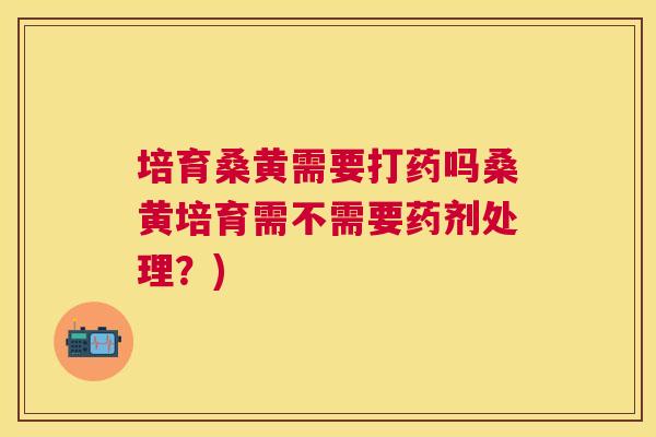 培育桑黄需要打药吗桑黄培育需不需要药剂处理?) 培育桑黄需要打药吗桑黄培育需不需要药剂处理?)