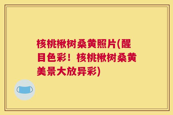 核桃楸树桑黄照片(醒目色彩!核桃楸树桑黄美景大放异彩) 核桃楸树桑黄照片(醒目色彩!核桃楸树桑黄美景大放异彩)