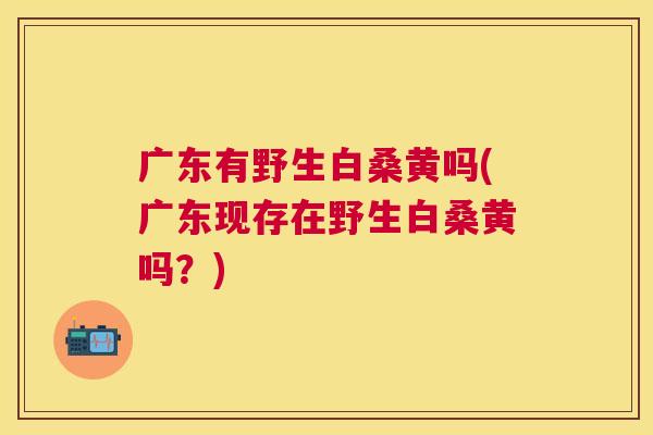 广东有野生白桑黄吗(广东现存在野生白桑黄吗?) 广东有野生白桑黄吗(广东现存在野生白桑黄吗?)