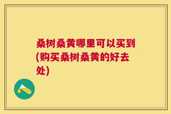 桑树桑黄哪里可以买到(购买桑树桑黄的好去处) 桑树桑黄哪里可以买到(购买桑树桑黄的好去处)