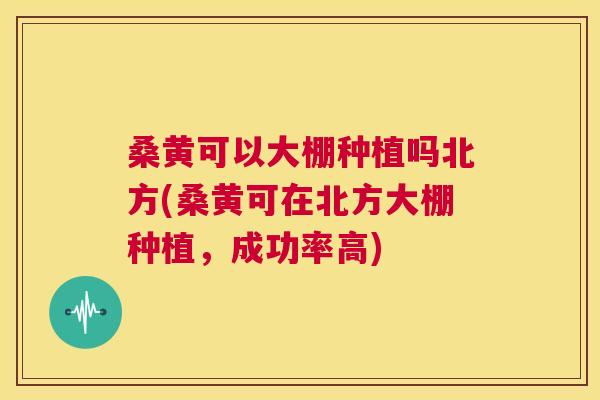 桑黄可以大棚种植吗北方(桑黄可在北方大棚种植,成功率高) 桑黄可以大棚种植吗北方(桑黄可在北方大棚种植,成功率高)