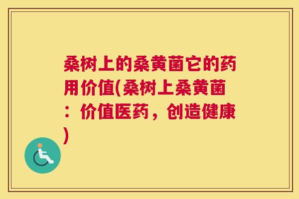 桑树上的桑黄菌它的药用价值(桑树上桑黄菌:价值医药,创造健康) 桑树上的桑黄菌它的药用价值(桑树上桑黄菌:价值医药,创造健康)