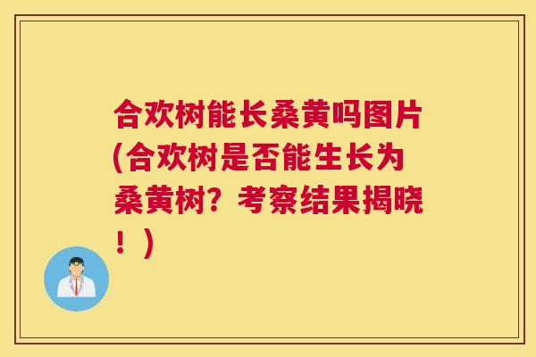 合欢树能长桑黄吗图片(合欢树是否能生长为桑黄树?考察结果揭晓!) 合欢树能长桑黄吗图片(合欢树是否能生长为桑黄树?考察结果揭晓!)