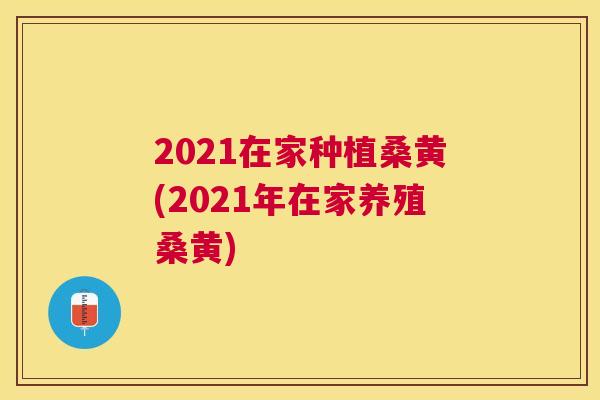 2021在家种植桑黄(2021年在家养殖桑黄) 2021在家种植桑黄(2021年在家养殖桑黄)