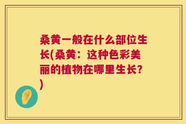桑黄一般在什么部位生长(桑黄:这种色彩美丽的植物在哪里生长?) 桑黄一般在什么部位生长(桑黄:这种色彩美丽的植物在哪里生长?)