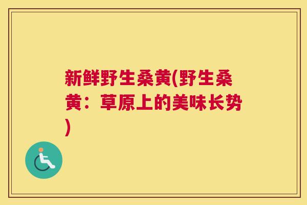 新鲜野生桑黄(野生桑黄:草原上的美味长势) 新鲜野生桑黄(野生桑黄:草原上的美味长势)