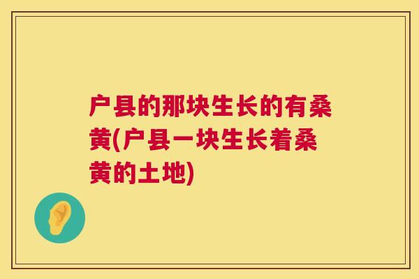 户县的那块生长的有桑黄(户县一块生长着桑黄的土地) 户县的那块生长的有桑黄(户县一块生长着桑黄的土地)