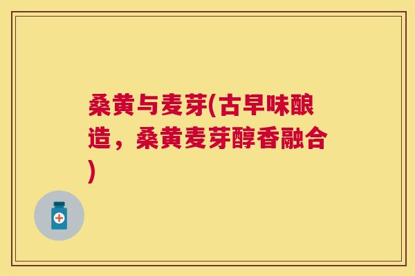 桑黄与麦芽(古早味酿造，桑黄麦芽醇香融合)