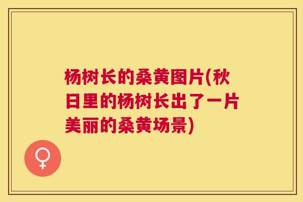 杨树长的桑黄图片(秋日里的杨树长出了一片美丽的桑黄场景) 杨树长的桑黄图片(秋日里的杨树长出了一片美丽的桑黄场景)