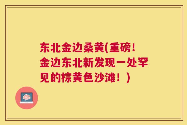 东北金边桑黄(重磅!金边东北新发现一处罕见的棕黄色沙滩!) 东北金边桑黄(重磅!金边东北新发现一处罕见的棕黄色沙滩!)