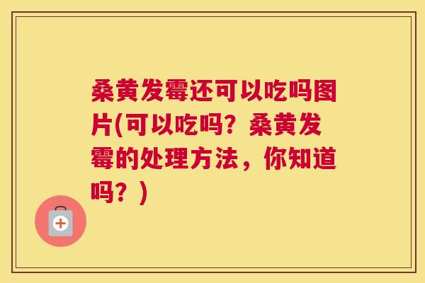 桑黄发霉还可以吃吗图片(可以吃吗?桑黄发霉的处理方法,你知道吗?) 桑黄发霉还可以吃吗图片(可以吃吗?桑黄发霉的处理方法,你知道吗?)