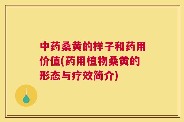 桑黄的样子和药用价值(药用植物桑黄的形态与疗效简介) 桑黄的样子和药用价值(药用植物桑黄的形态与疗效简介)