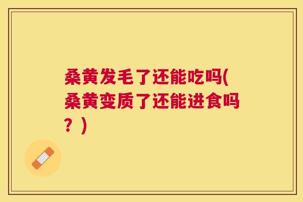 桑黄发毛了还能吃吗(桑黄变质了还能进食吗?) 桑黄发毛了还能吃吗(桑黄变质了还能进食吗?)