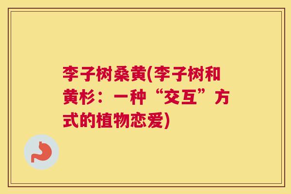 李子树桑黄(李子树和黄杉:一种“交互”方式的植物恋爱) 李子树桑黄(李子树和黄杉:一种“交互”方式的植物恋爱)