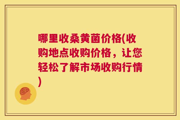 哪里收桑黄菌价格(收购地点收购价格，让您轻松了解市场收购行情)
