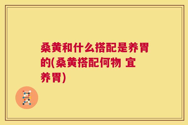 桑黄和什么搭配是养胃的(桑黄搭配何物 宜养胃) 桑黄和什么搭配是养胃的(桑黄搭配何物 宜养胃)