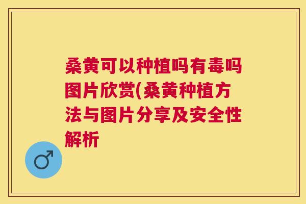 桑黄可以种植吗有毒吗图片欣赏(桑黄种植方法与图片分享及安全性解析