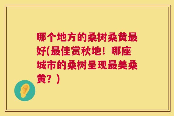 哪个地方的桑树桑黄好(佳赏秋地!哪座城市的桑树呈现美桑黄?) 哪个地方的桑树桑黄好(佳赏秋地!哪座城市的桑树呈现美桑黄?)