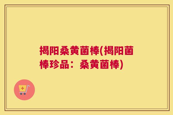 揭阳桑黄菌棒(揭阳菌棒珍品：桑黄菌棒)