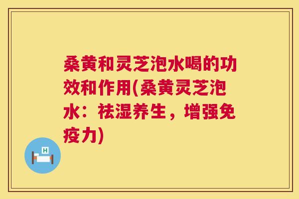 桑黄和灵芝泡水喝的功效和作用(桑黄灵芝泡水:祛湿养生,增强力) 桑黄和灵芝泡水喝的功效和作用(桑黄灵芝泡水:祛湿养生,增强力)