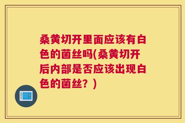 桑黄切开里面应该有白色的菌丝吗(桑黄切开后内部是否应该出现白色的菌丝?) 桑黄切开里面应该有白色的菌丝吗(桑黄切开后内部是否应该出现白色的菌丝?)