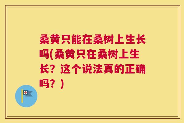 桑黄只能在桑树上生长吗(桑黄只在桑树上生长?这个说法真的正确吗?) 桑黄只能在桑树上生长吗(桑黄只在桑树上生长?这个说法真的正确吗?)