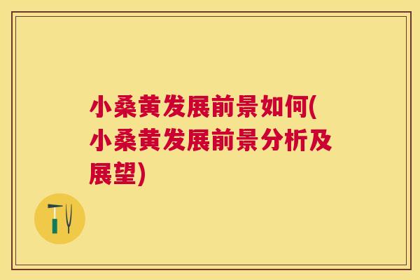 小桑黄发展前景如何(小桑黄发展前景分析及展望)