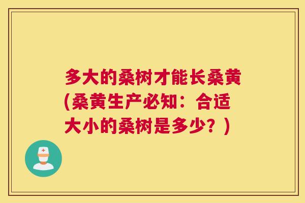 多大的桑树才能长桑黄(桑黄生产必知:合适大小的桑树是多少?) 多大的桑树才能长桑黄(桑黄生产必知:合适大小的桑树是多少?)