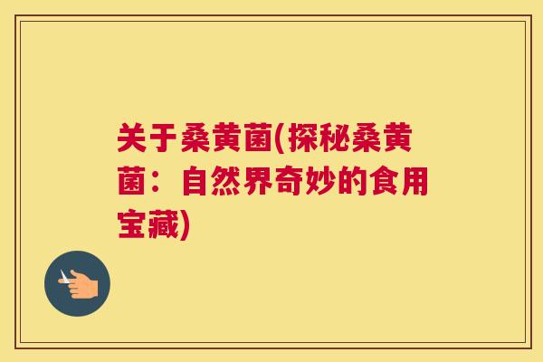 关于桑黄菌(探秘桑黄菌:自然界奇妙的食用宝藏) 关于桑黄菌(探秘桑黄菌:自然界奇妙的食用宝藏)