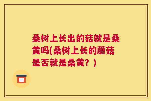 桑树上长出的菇就是桑黄吗(桑树上长的蘑菇是否就是桑黄?) 桑树上长出的菇就是桑黄吗(桑树上长的蘑菇是否就是桑黄?)