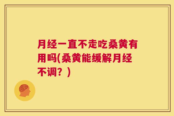 一直不走吃桑黄有用吗(桑黄能缓解不调?) 一直不走吃桑黄有用吗(桑黄能缓解不调?)