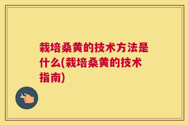 栽培桑黄的技术方法是什么(栽培桑黄的技术指南) 栽培桑黄的技术方法是什么(栽培桑黄的技术指南)