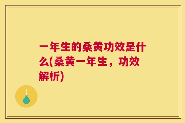 一年生的桑黄功效是什么(桑黄一年生,功效解析) 一年生的桑黄功效是什么(桑黄一年生,功效解析)