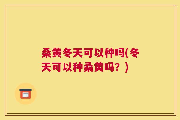 桑黄冬天可以种吗(冬天可以种桑黄吗?) 桑黄冬天可以种吗(冬天可以种桑黄吗?)