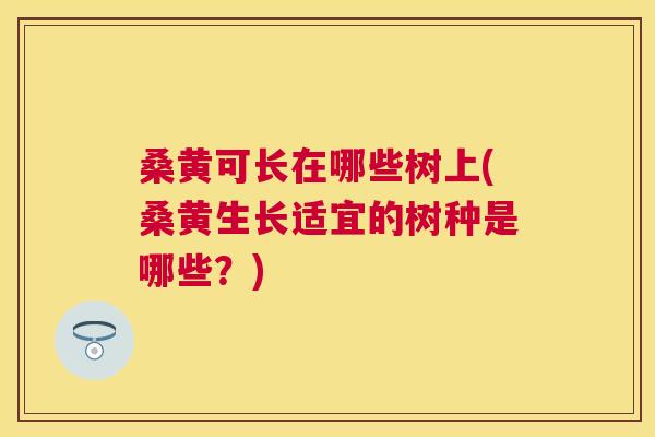 桑黄可长在哪些树上(桑黄生长适宜的树种是哪些?) 桑黄可长在哪些树上(桑黄生长适宜的树种是哪些?)