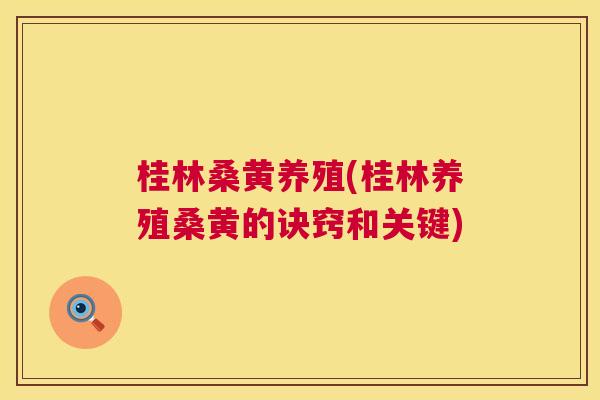 桂林桑黄养殖(桂林养殖桑黄的诀窍和关键) 桂林桑黄养殖(桂林养殖桑黄的诀窍和关键)