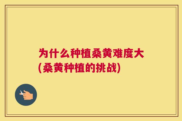为什么种植桑黄难度大(桑黄种植的挑战) 为什么种植桑黄难度大(桑黄种植的挑战)
