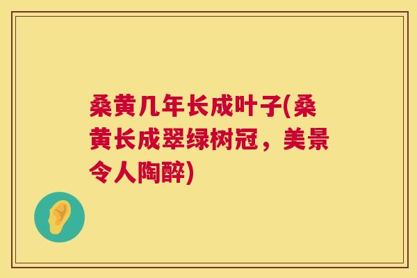桑黄几年长成叶子(桑黄长成翠绿树冠,美景令人陶醉) 桑黄几年长成叶子(桑黄长成翠绿树冠,美景令人陶醉)