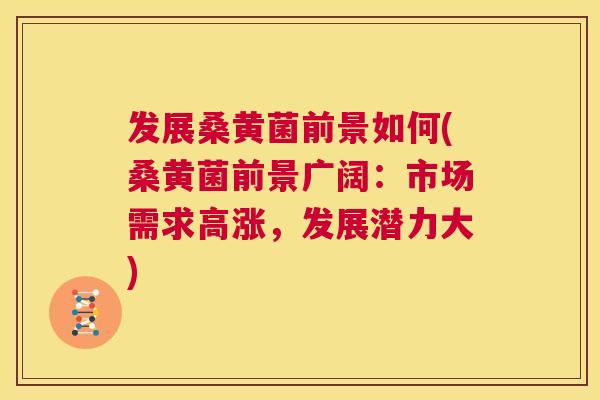 发展桑黄菌前景如何(桑黄菌前景广阔:市场需求高涨,发展潜力大) 发展桑黄菌前景如何(桑黄菌前景广阔:市场需求高涨,发展潜力大)
