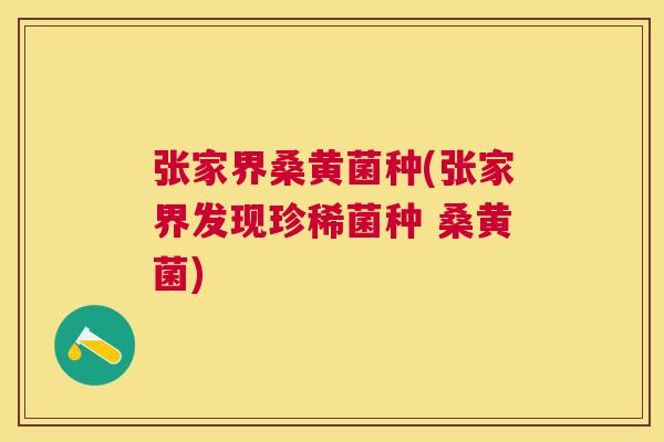 张家界桑黄菌种(张家界发现珍稀菌种 桑黄菌) 张家界桑黄菌种(张家界发现珍稀菌种 桑黄菌)