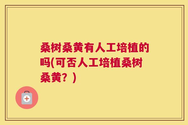 桑树桑黄有人工培植的吗(可否人工培植桑树桑黄?) 桑树桑黄有人工培植的吗(可否人工培植桑树桑黄?)