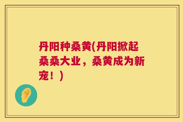 丹阳种桑黄(丹阳掀起桑桑大业,桑黄成为新宠!) 丹阳种桑黄(丹阳掀起桑桑大业,桑黄成为新宠!)