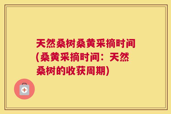 天然桑树桑黄采摘时间(桑黄采摘时间:天然桑树的收获周期) 天然桑树桑黄采摘时间(桑黄采摘时间:天然桑树的收获周期)