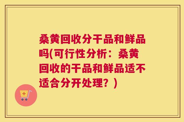 桑黄回收分干品和鲜品吗(可行性分析:桑黄回收的干品和鲜品适不适合分开处理?) 桑黄回收分干品和鲜品吗(可行性分析:桑黄回收的干品和鲜品适不适合分开处理?)