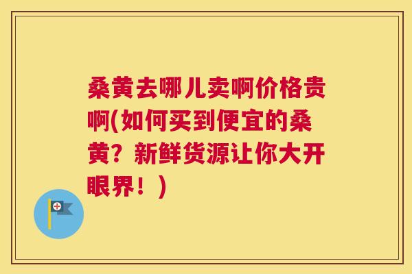 桑黄去哪儿卖啊价格贵啊(如何买到便宜的桑黄?新鲜货源让你大开眼界!) 桑黄去哪儿卖啊价格贵啊(如何买到便宜的桑黄?新鲜货源让你大开眼界!)