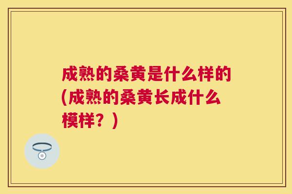 成熟的桑黄是什么样的(成熟的桑黄长成什么模样?) 成熟的桑黄是什么样的(成熟的桑黄长成什么模样?)