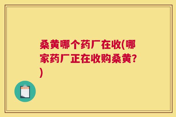 桑黄哪个药厂在收(哪家药厂正在收购桑黄?) 桑黄哪个药厂在收(哪家药厂正在收购桑黄?)